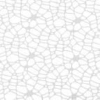 Tkanina dekoracyjna siatka koronkowa biała 60x50cm. Wydawca: Titanum. SmakLiter.pl Opakowanie Tkanina dekoracyjna siatka koronkowa biała 60x50cm