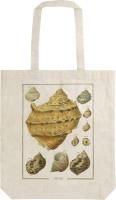 Torba bawełniana STBAG 73 Muszle. Wydawca: Skona Ting. SmakLiter.pl Opakowanie Torba bawełniana STBAG 73 Muszle