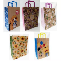 Opakowanie Torebka kolor KRAFT 250x345x150