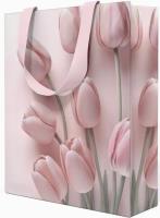 Opakowanie Torebka prezentowa 23x18x10cm