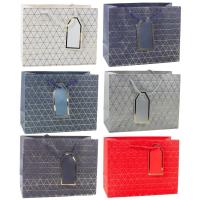 Torebka prezentowa 23x18x10cm MIX. Wydawca: Leantoys. SmakLiter.pl Opakowanie Torebka prezentowa 23x18x10cm MIX