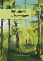 Utrwalone w bursztynie. Autor: Ryszarda Donajska. SmakLiter.pl Okładka książki Utrwalone w bursztynie