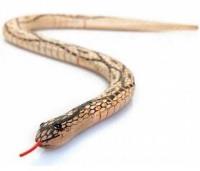 Wąż dewniany MIX. Wydawca: One for Fun. SmakLiter.pl Opakowanie Wąż dewniany MIX