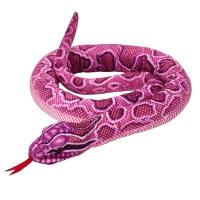 Wąż różowy 180cm. Wydawca: Beppe. SmakLiter.pl Opakowanie Wąż różowy 180cm