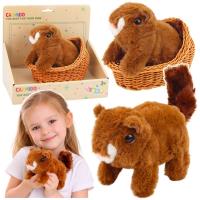 Opakowanie Wiewiórka interaktywna w koszyku