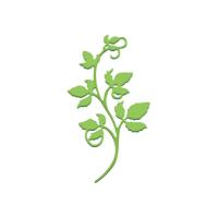 Opakowanie Wykrojnik gałązka winorośli