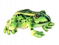 Opakowanie Żaba 28cm