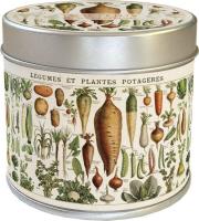 Opakowanie Zapachowa świeczka 281 warzywa zapach pomarańczowy