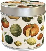 Zapachowa świeczka dynie - zapach pomarańcz. Wydawca: Skona Ting. SmakLiter.pl Opakowanie Zapachowa świeczka dynie - zapach pomarańcz