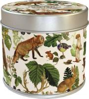 Zapachowa świeczka leśne zwierzęta - zapach leśny. Wydawca: Skona Ting. SmakLiter.pl Opakowanie Zapachowa świeczka leśne zwierzęta - zapach leśny