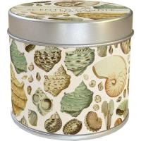 Zapachowa świeczka Muszle - zapach brzoskwiniowy. Wydawca: Skona Ting. SmakLiter.pl Opakowanie Zapachowa świeczka Muszle - zapach brzoskwiniowy