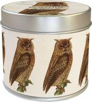 Zapachowa świeczka sowa - zapach leśny. Wydawca: Skona Ting. SmakLiter.pl Opakowanie Zapachowa świeczka sowa - zapach leśny