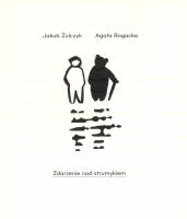 Okładka książki Zdarzenie nad strumykiem