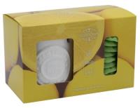 Zestaw - kominek i wosk zapachowy Citronella. Wydawca: ScentChips. SmakLiter.pl Opakowanie Zestaw - kominek i wosk zapachowy Citronella