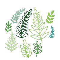 Opakowanie Zestaw wykrojników ozdobne gałązki 8szt