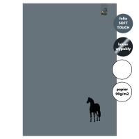 Opakowanie Zeszyt A4 32 kartki gładki 90g Koń szary