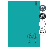 Opakowanie Zeszyt A4 32 kartki w 3 linie kolor 90g Labrador turkus