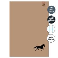 Opakowanie Zeszyt A4 32 kartki w kratkę 90g Koń beż