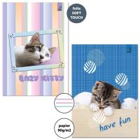 Zeszyt A4/32K 3-linie kolor 90g BF Cats (6szt). Wydawca: Bee-bee. SmakLiter.pl Opakowanie Zeszyt A4/32K 3-linie kolor 90g BF Cats (6szt)