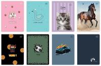 Zeszyt A5/16K kratka 70g UV mix (20szt). Wydawca: INTERDRUK. SmakLiter.pl Opakowanie Zeszyt A5/16K kratka 70g UV mix (20szt)