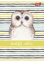 Opakowanie Zeszyt A5 16k linia dwukolorowa dziewczęcy pakiet 15 sztuk