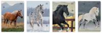 Opakowanie Zeszyt A5/32K 3kol linia 70g UV Wild Horses(10szt)