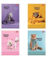 Opakowanie Zeszyt A5/32k kratka Pawsitive (15szt)
