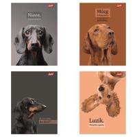 Opakowanie Zeszyt A5/60k kratka Doggy Moods (10szt)