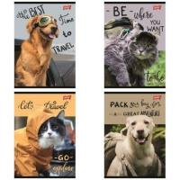 Opakowanie Zeszyt A5/60K kratka Traveler (10szt)