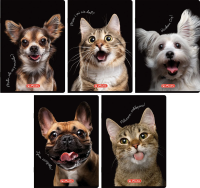 Zeszyt A5/80K kratka z marginesem Animal (5szt). Wydawca: HERLITZ. SmakLiter.pl Opakowanie Zeszyt A5/80K kratka z marginesem Animal (5szt)