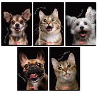 Opakowanie Zeszyt A6/32K kratka Crazy Animal MIX (12szt)