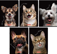 Zeszyt do słówek A6/16K kratka Crazy Animal(20szt). Wydawca: HERLITZ. SmakLiter.pl Opakowanie Zeszyt do słówek A6/16K kratka Crazy Animal(20szt)