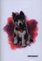 Zeszyt PP JOY A5 w kratkę 60 kartek 80g. Wydawca: Narcissus. SmakLiter.pl Opakowanie Zeszyt PP JOY A5 w kratkę 60 kartek 80g