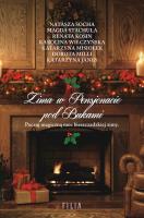 Okładka książki Zima w Pensjonacie pod Bukami wyd. kieszonkowe