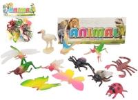 Opakowanie Zwierzęta insekty - zestaw 12szt